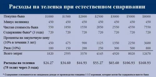 Осеменение коров быком. Методы осеменения