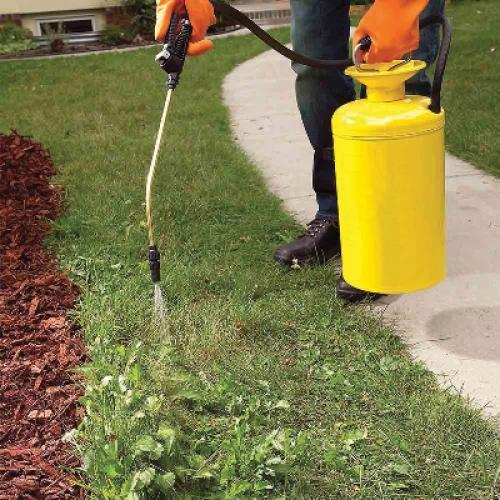 Отрава Ураган от сорняков. Описание средства от сорняков Ураган Форте 01 Отрава Ураган от сорняков. Описание средства от сорняков Ураган Форте 01