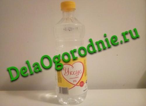 Уксус и лимонная кислота от сорняков. Борьба с сорняками с использованием уксуса и соли