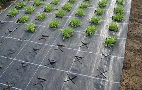 Чем накрыть землю, чтобы не росла трава. Чем застелить землю от сорняков? 5 вариантов