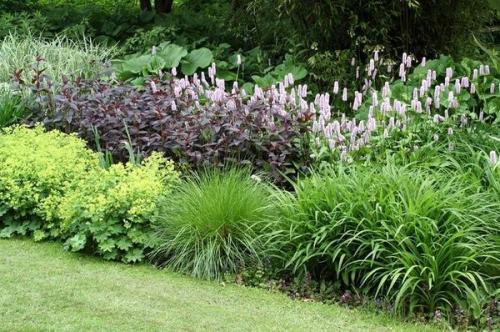 Что такое клумб. Клумбы и цветники - в чем разница