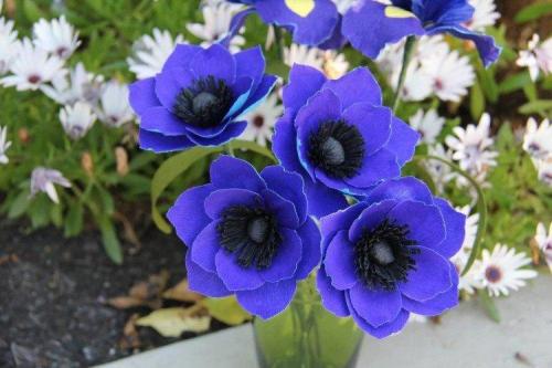 Какие цветы или растения лучше всего сажать в такие клумбы. Многолетние цветы для клумбы