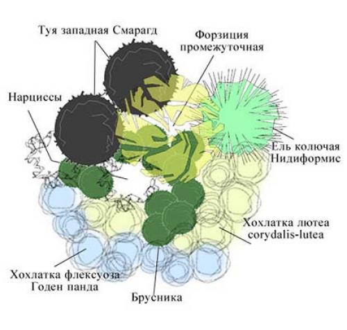 Рокарий готовые схемы. Принцип устройства рокария и его стили