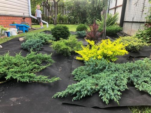 Как обеспечить долговечность конструкции клумбы. Как сделать клумбу, которую не надо пропалывать. Вот, что у нас получилось в итоге