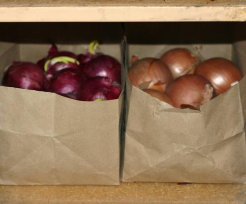 Как лучше хранить лук, если не хотите использовать холодильник