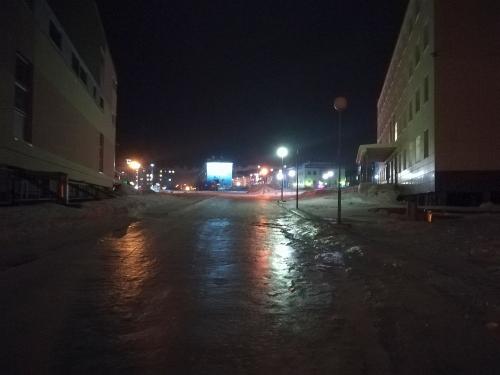 Какие методы защиты растений от сибирской зимы наиболее эффективны