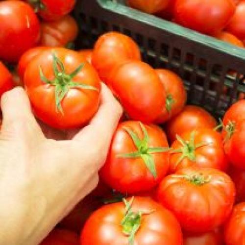 Как подготовить почву в огороде к зиме